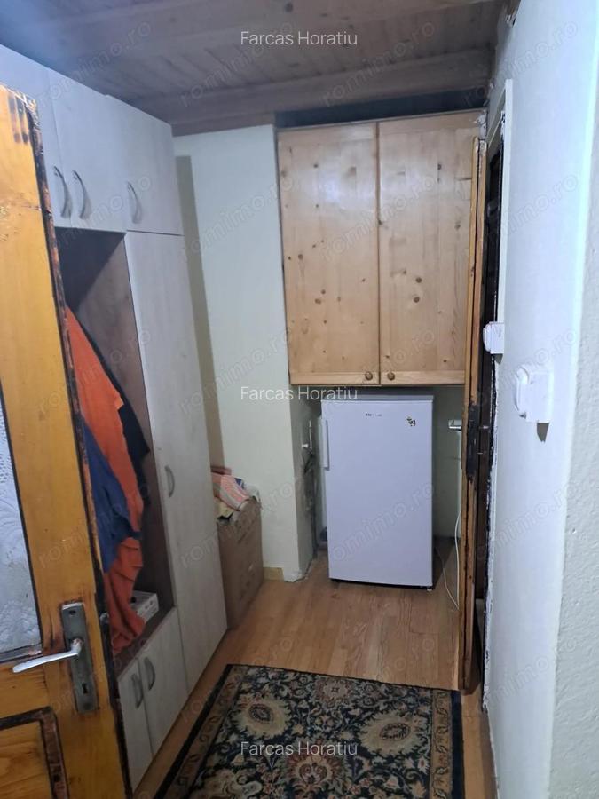 Cabana in mijlocul naturii, de vanzare, zona Lunca Bradului - Salard - 6