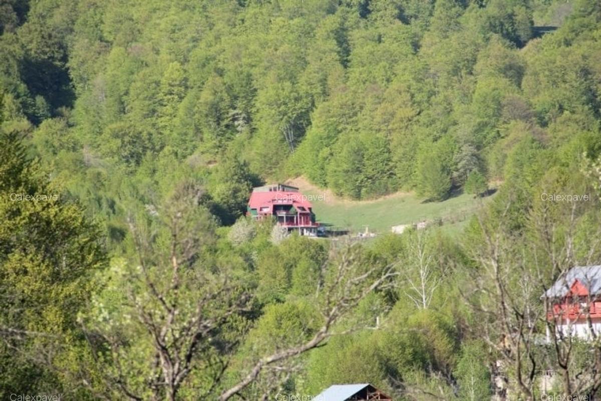 Casa de Vacanta / Cabana / Vila / Pensiune / Lepsa Vrancea -Munte - 3