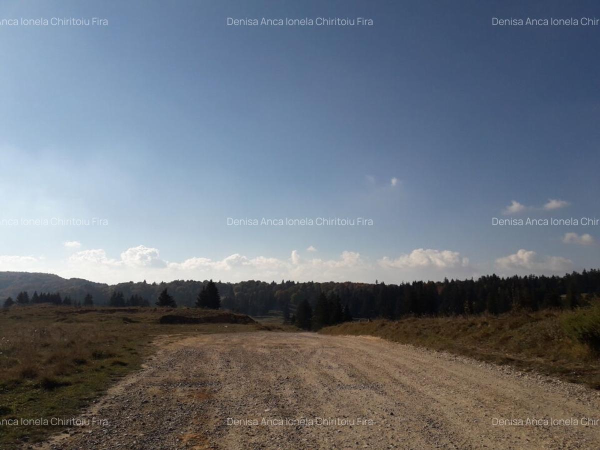 Ocazie unica la licitatie: Teren cu Potential Turistic Major in Poiana Brasov - 7