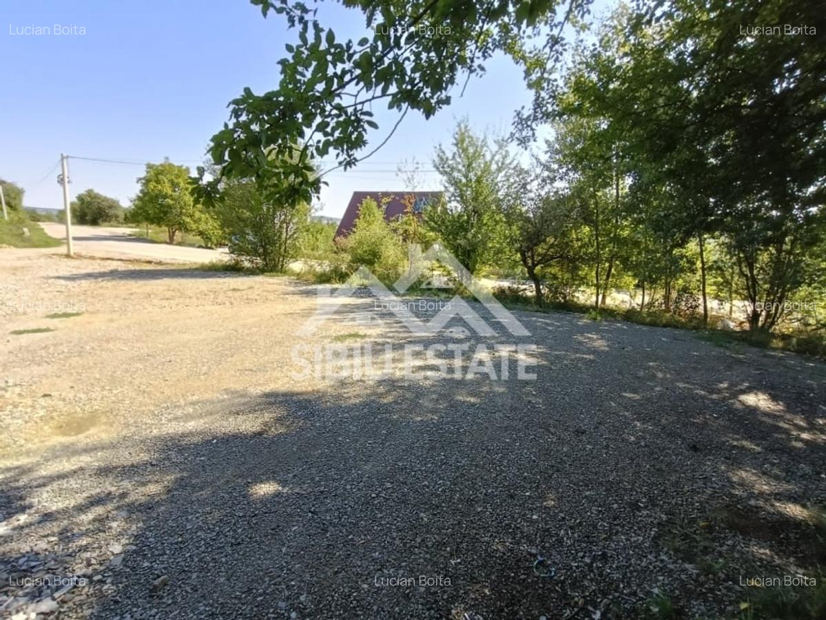 Teren  construibil ,la sosea, intre Vale si Sibiel, zona cu potential - 13