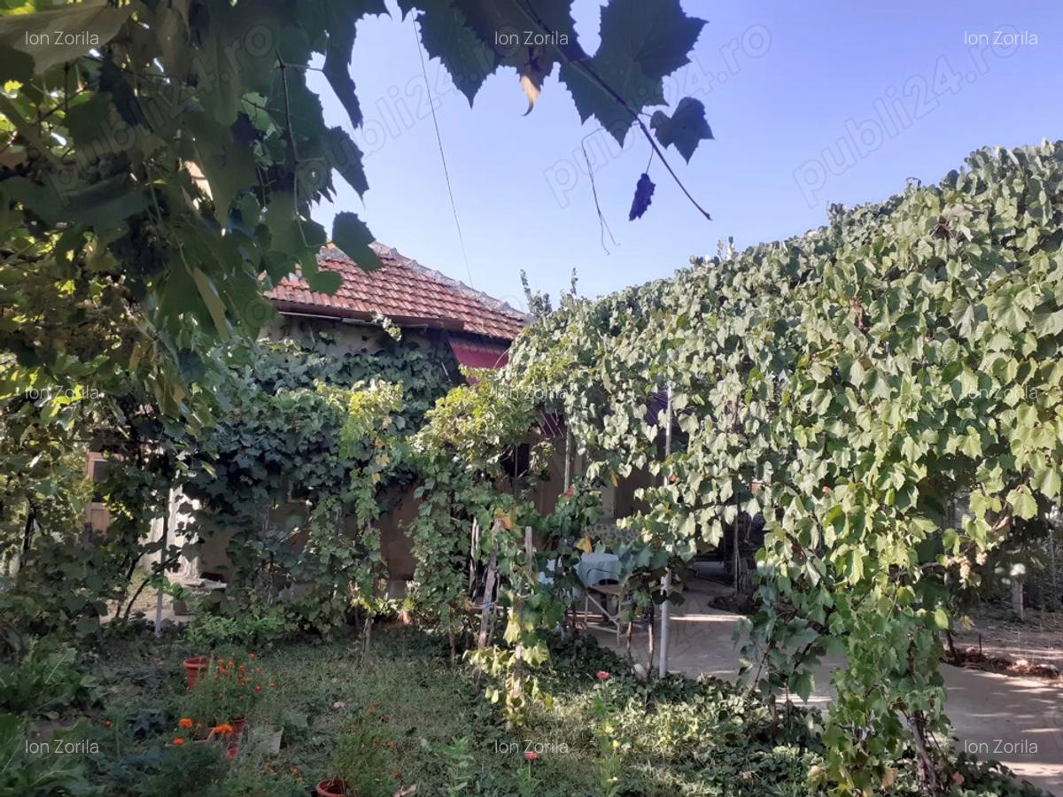 Vand casa ,cu curte ?i gradina - 2