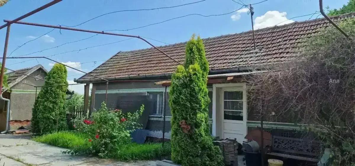 Casa si teren ideal pentru legumicultura - 5