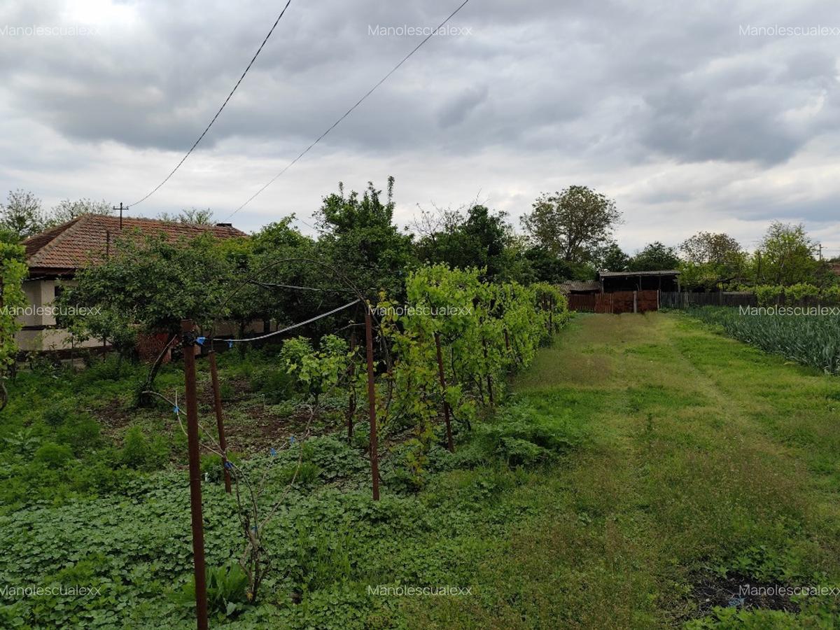 Casa cu teren intravilan la 40 km de Bucuresti - 3