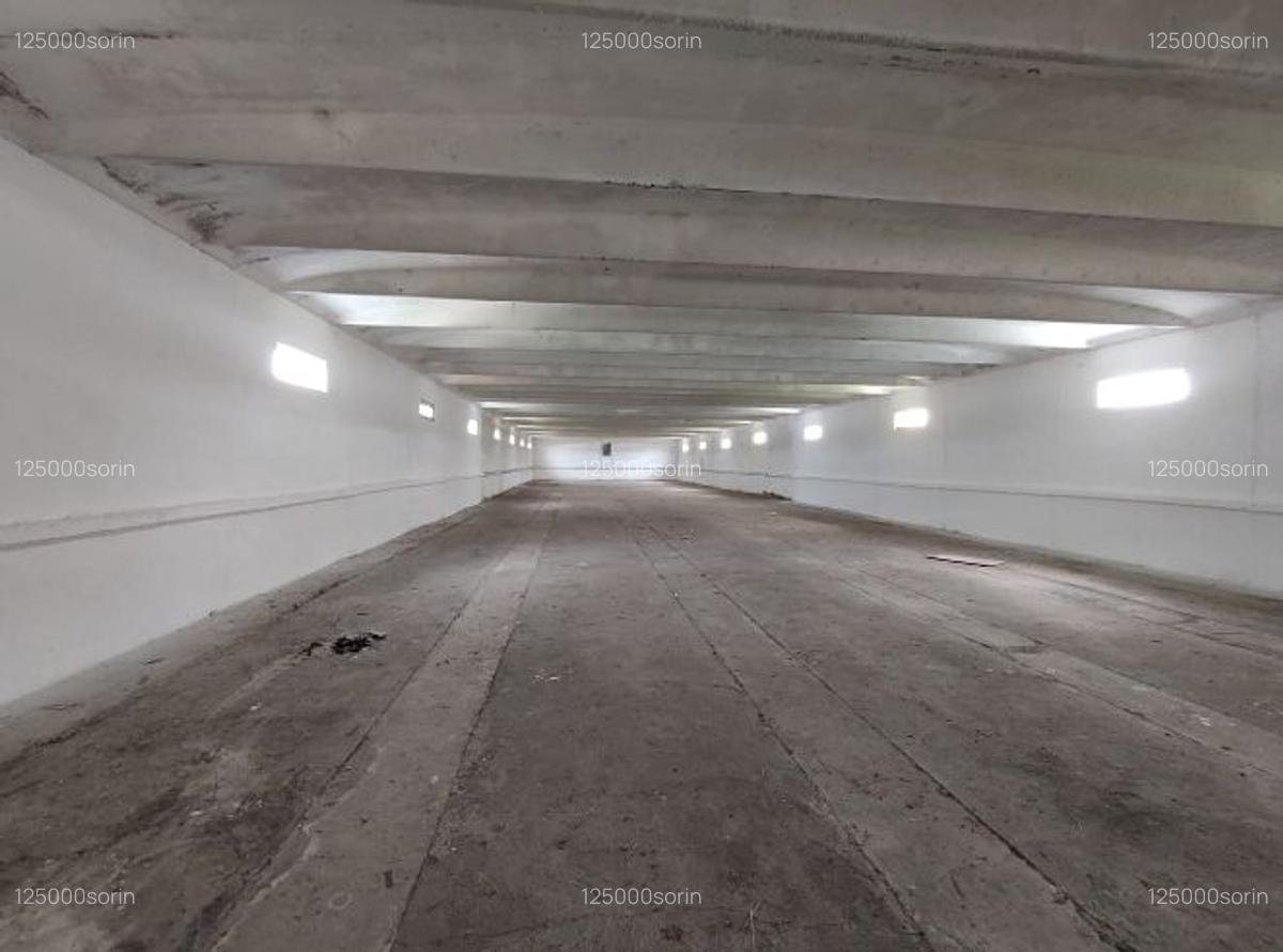 Hale pentru depozitare sau productie, teren aferent, vanzare sau inchiriere. - 7