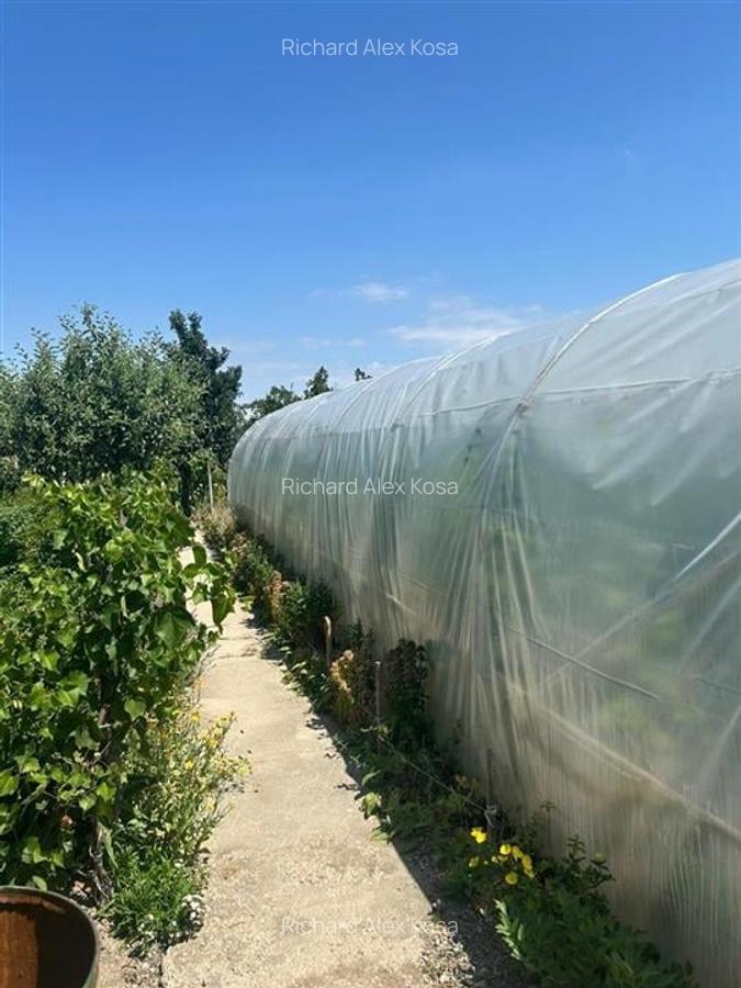 Casă individuală cu 3 camere în Felcheriu - 17