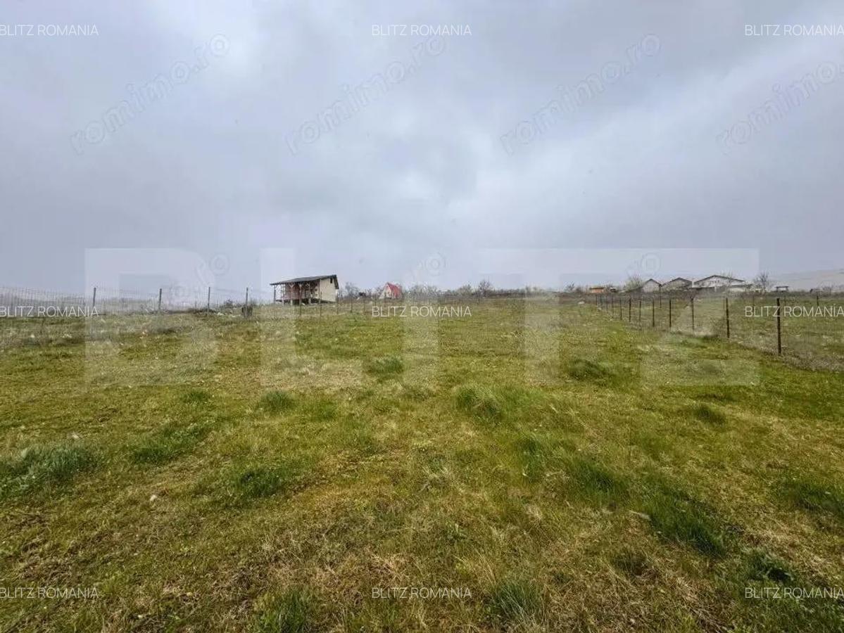 Teren intravilan, 731 mp, proiect de casa autorizat D+P+M, sat Goruni - 1