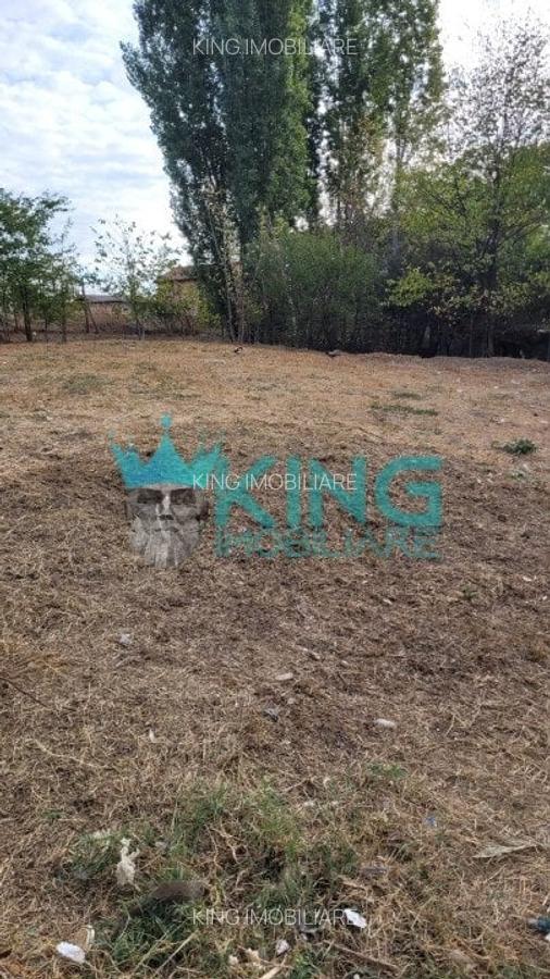 Teren | Colentina | 479 mp | Front Stradal - 6