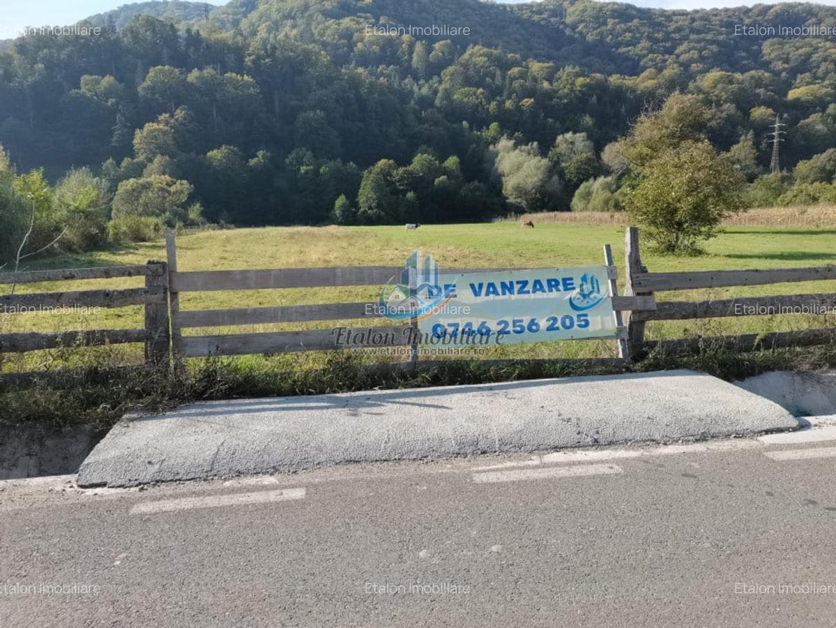 LOTURI- Teren Batca Doamnei - la lebede, 5250 mp, Neamt - 1