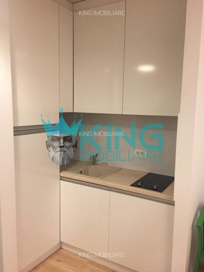 Apartament cu 2 camere decomandat, mobilat în Herăstrău - 9