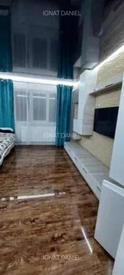 Garsoniera, etajul 4/5, zona Pacurari-Alpha Bank - 1