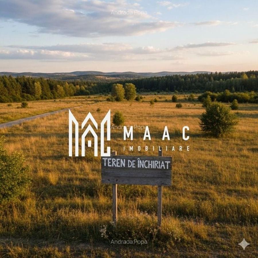 Teren de închiriat | 700mp | Sura Mare - 1