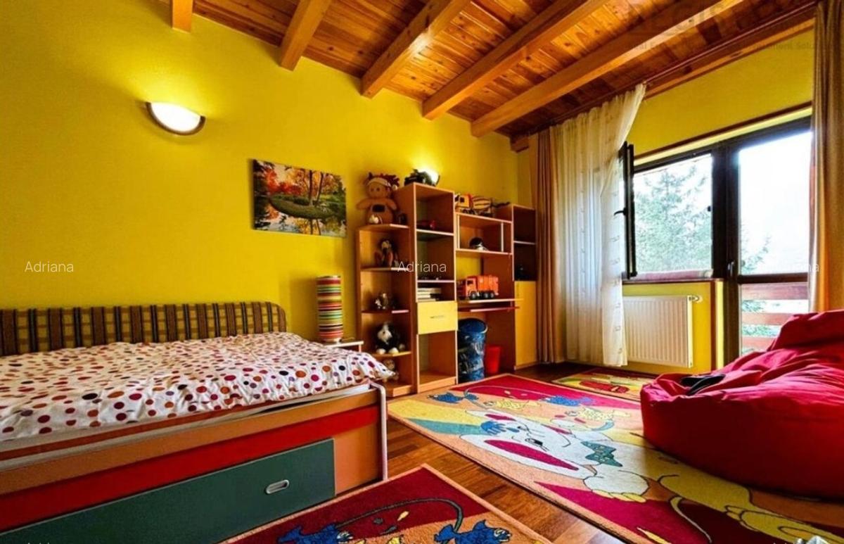 Proprietar, Vilă de vânzare - Bușteni, Piatra Arsă - 10