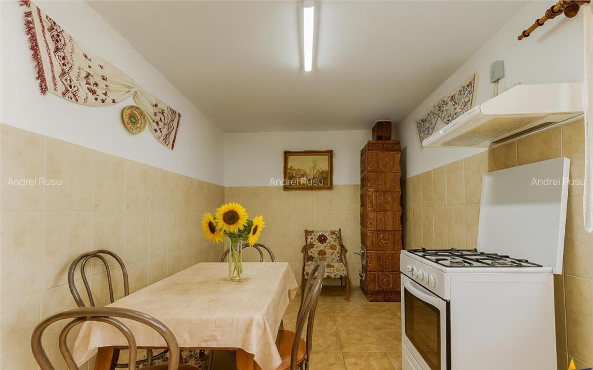 Tur LIVE! Casa traditionala pe parter,renovata, 300 mp teren - 9