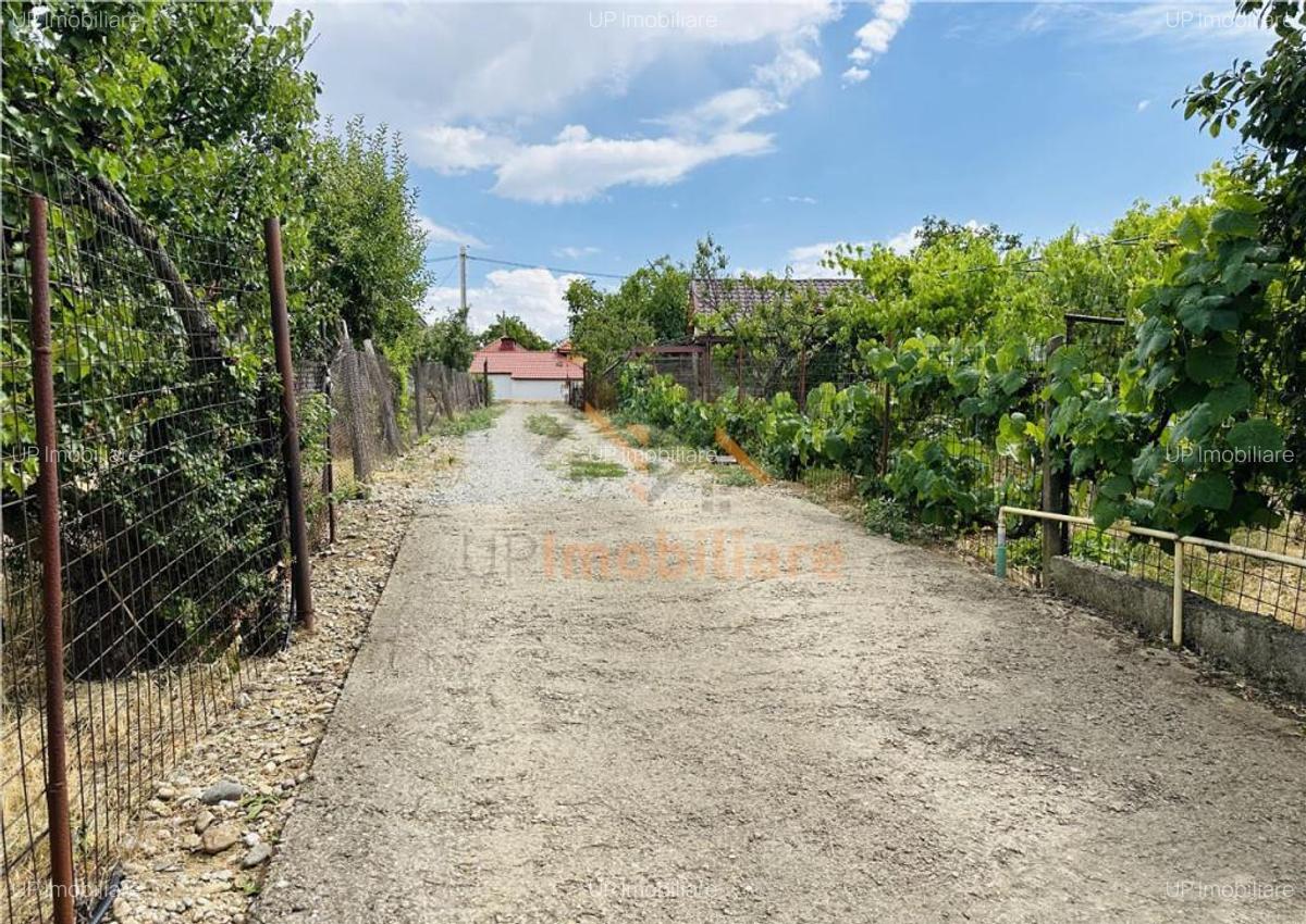 CASA P M | TEREN 2200 MP | STRADA SOFIEI | ZONA DEALURI - 4
