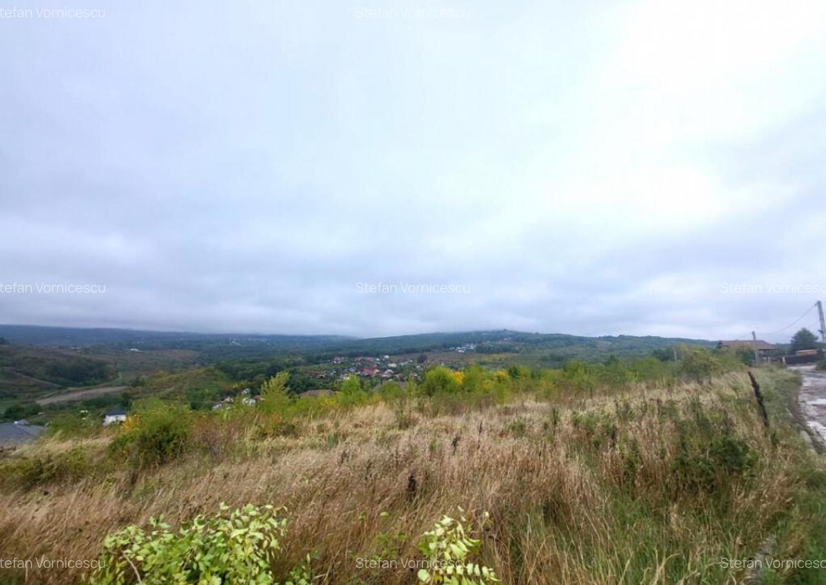 Teren de vanzare Barnova, cu priveliste Vanzare imediata - 13
