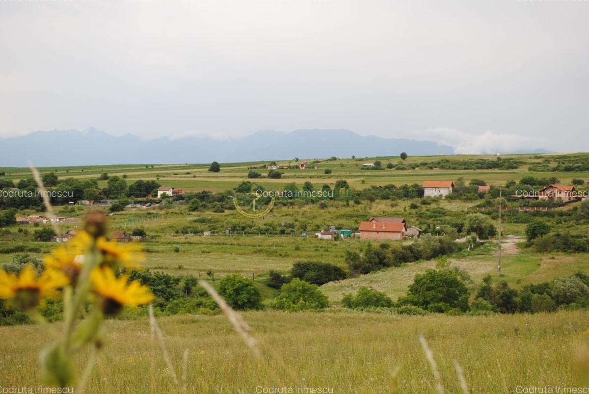 Teren 1,500 mp, vedere panoramica, Sibiu-Daia Noua - 3