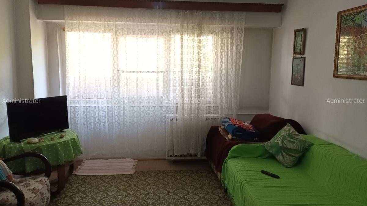 Vanzare garsoniera Anastasie Panu, libera, parter, nestradal - 2