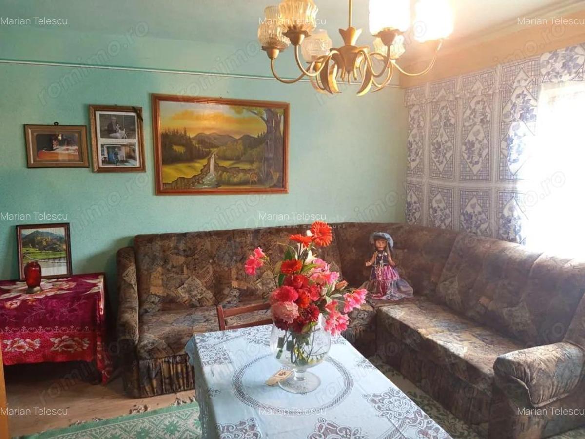 Bradisoru de Jos, Casa 14 Incaperi + Teren 1439MP - 17