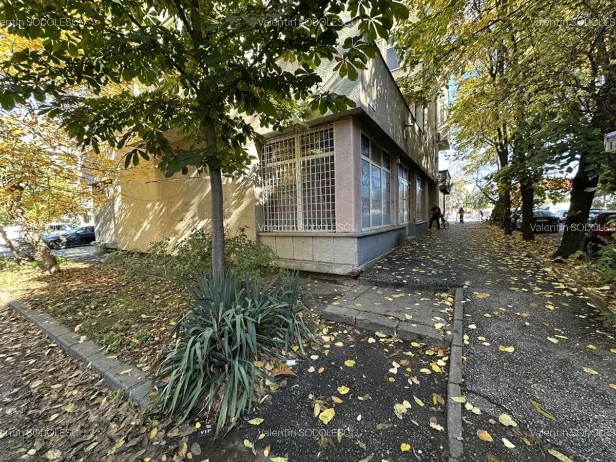 Spatiu comercial Calea Aradului - 17 Spatiu comercial Calea Aradului - 17