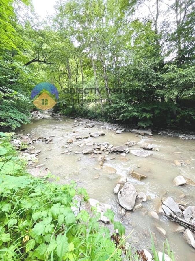 TEREN intravilan   8.000 mp TARCAU - 8