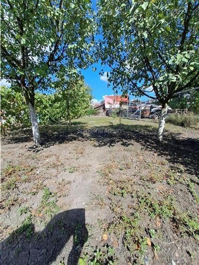 Casa individuala  Mehala aproape de Piata -Profi, 22 m front stradal - 7
