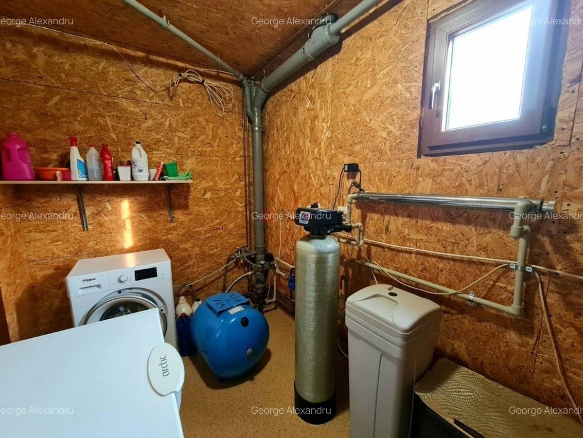 Vila + Afacere 15.000mp Clinceni - 25