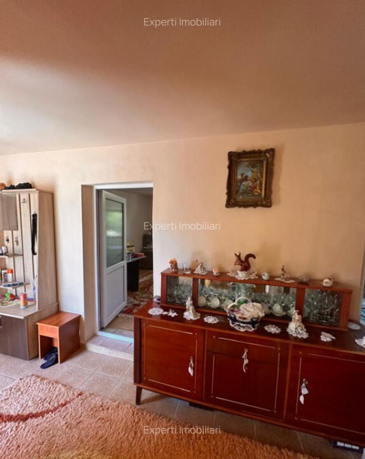 Casa in centrul Cobadinului - 28