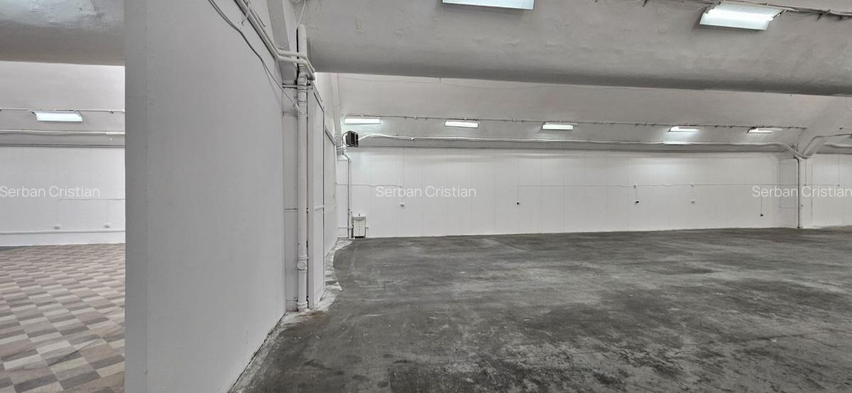 Pantelimon hala productie depozitare - 10