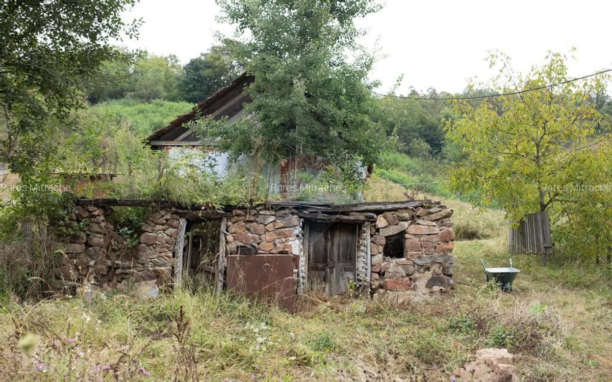 Teren intravilan de vis in Mun?ii Apuseni, curent + izv... - 14
