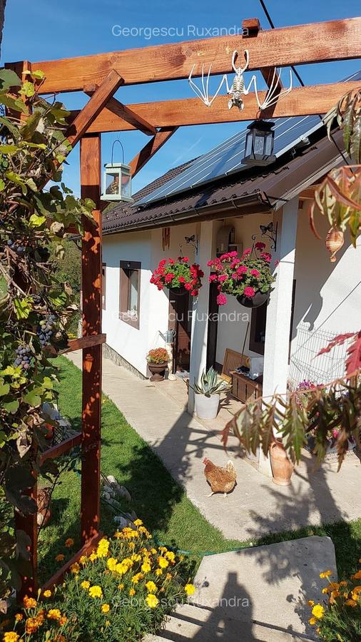 Casa individaual renovata, curte amenjata Boteni de Arges - 4