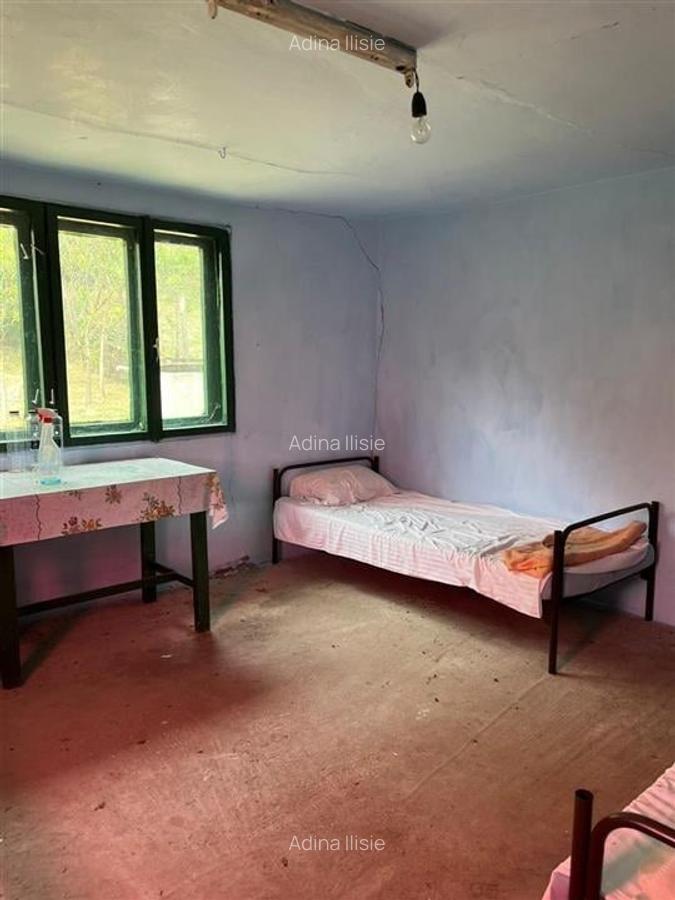 RECO Casa batraneasca cu teren generos la Lupoaia -Holod - 10