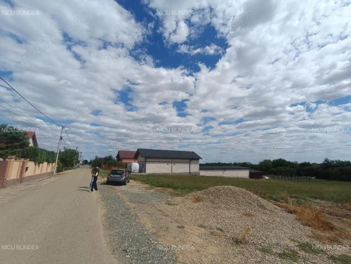 Descopera o oportunitate rara: Teren intravilan- 2.000 mp in Zadareni - 6