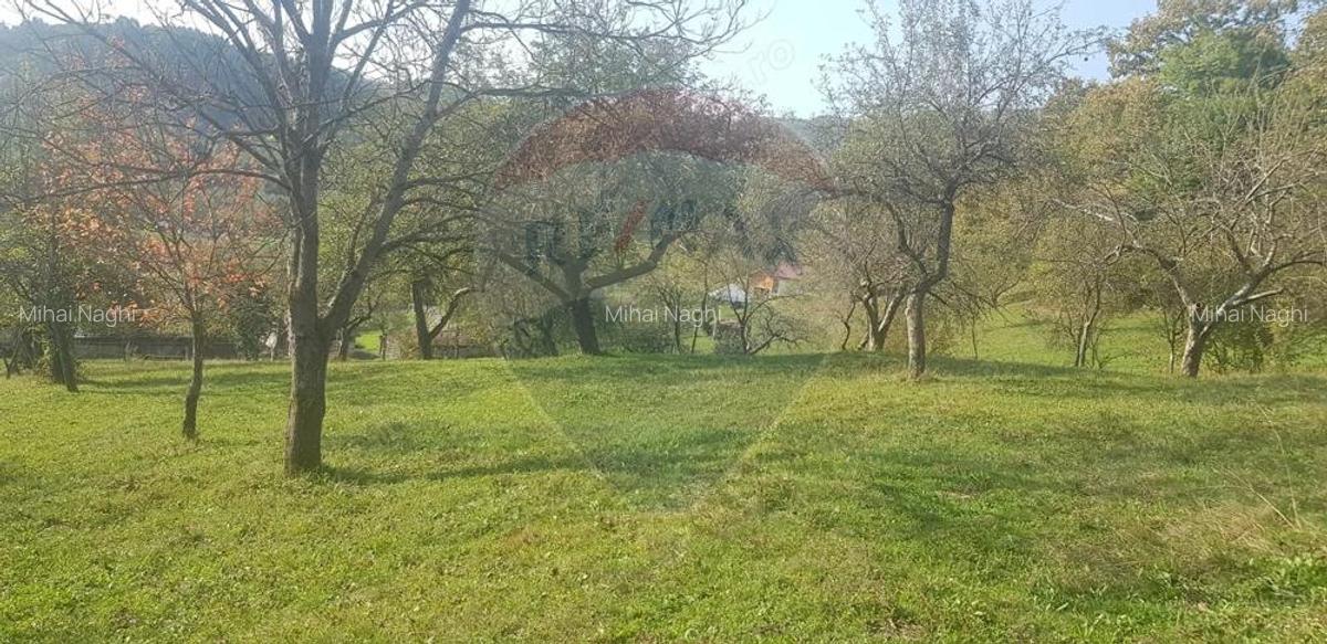 Casa si teren 1.6 ha de vanzare, in Rona de Jos - 4