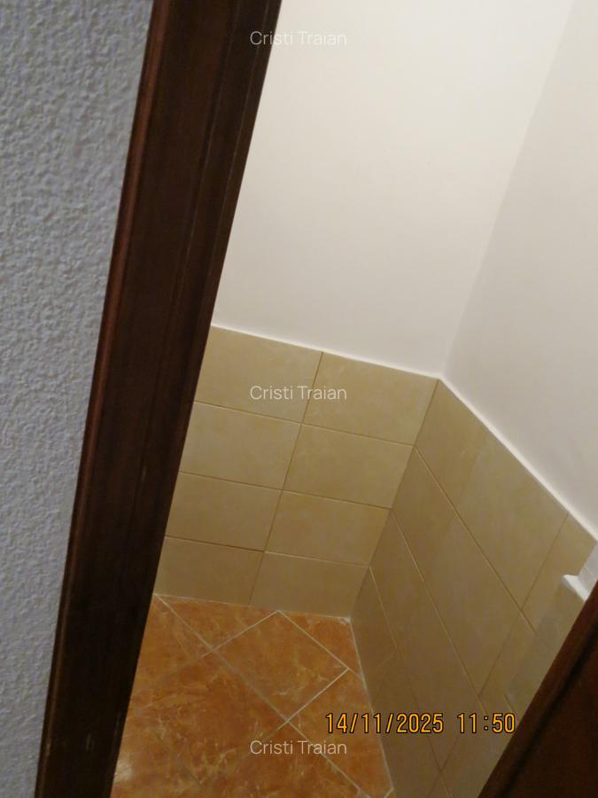 Apartament 3 camere Bd. Unirii, stradal, mobilat si utilat complet, liber - 14