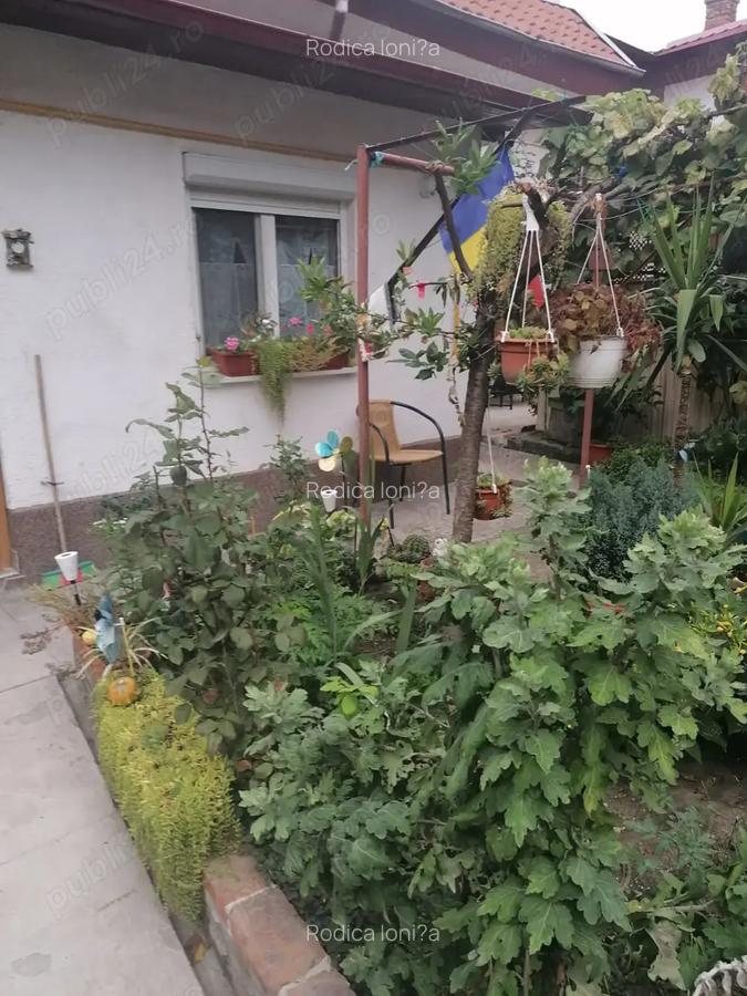 Vand apartament cu 3 camere in Timi?oara - 9 Vand apartament cu 3 camere in Timi?oara - 9