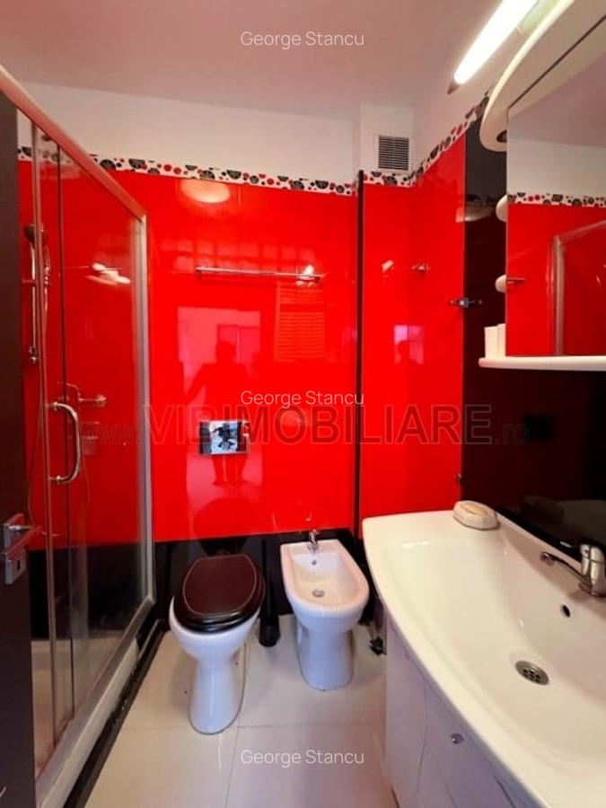 Casa cocheta cu 2 camere si beci, Mosilor – Foisorul de Foc - 11