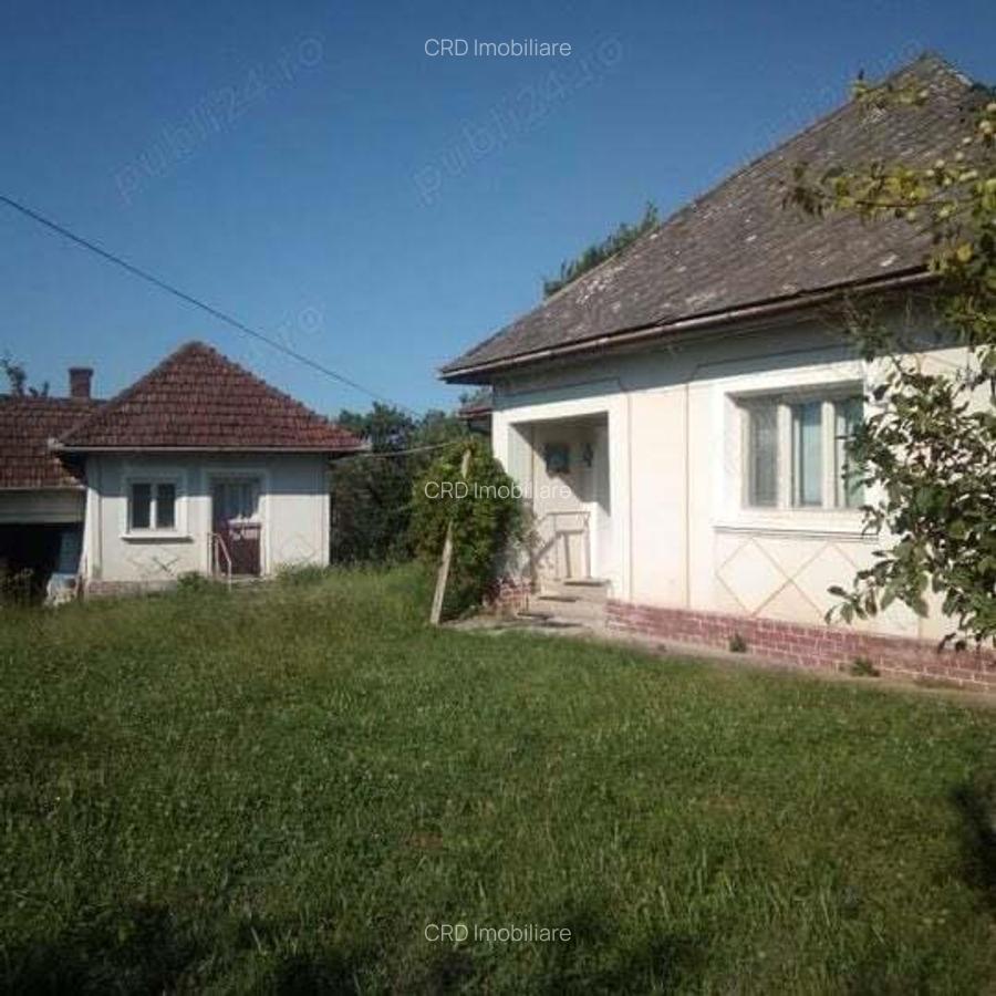 Loc. Basesti (jud. MM) casa de vanzare cu 8.000 mp teren - 1