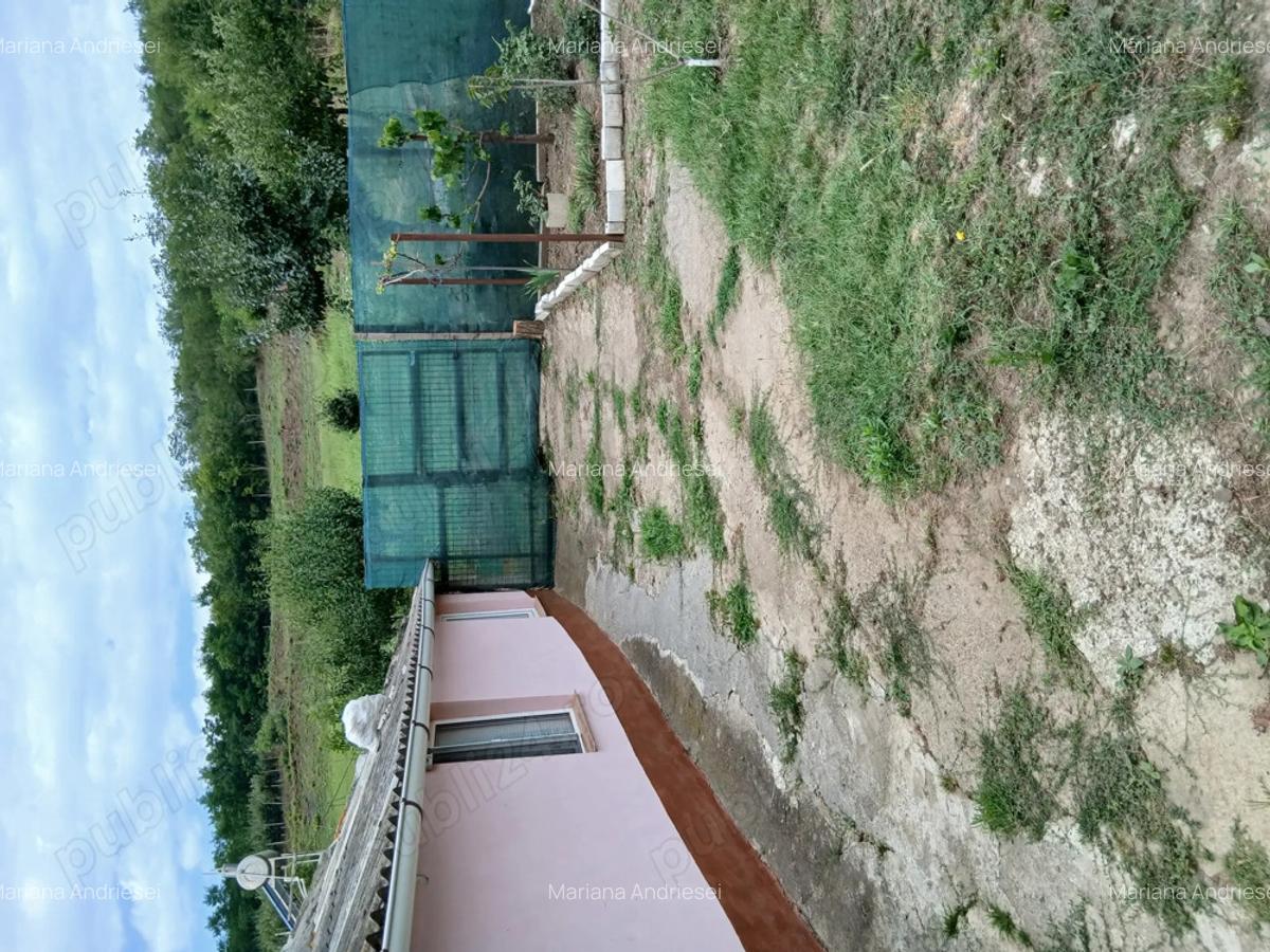 Casa cu gradina in Probota Iasi. - 4
