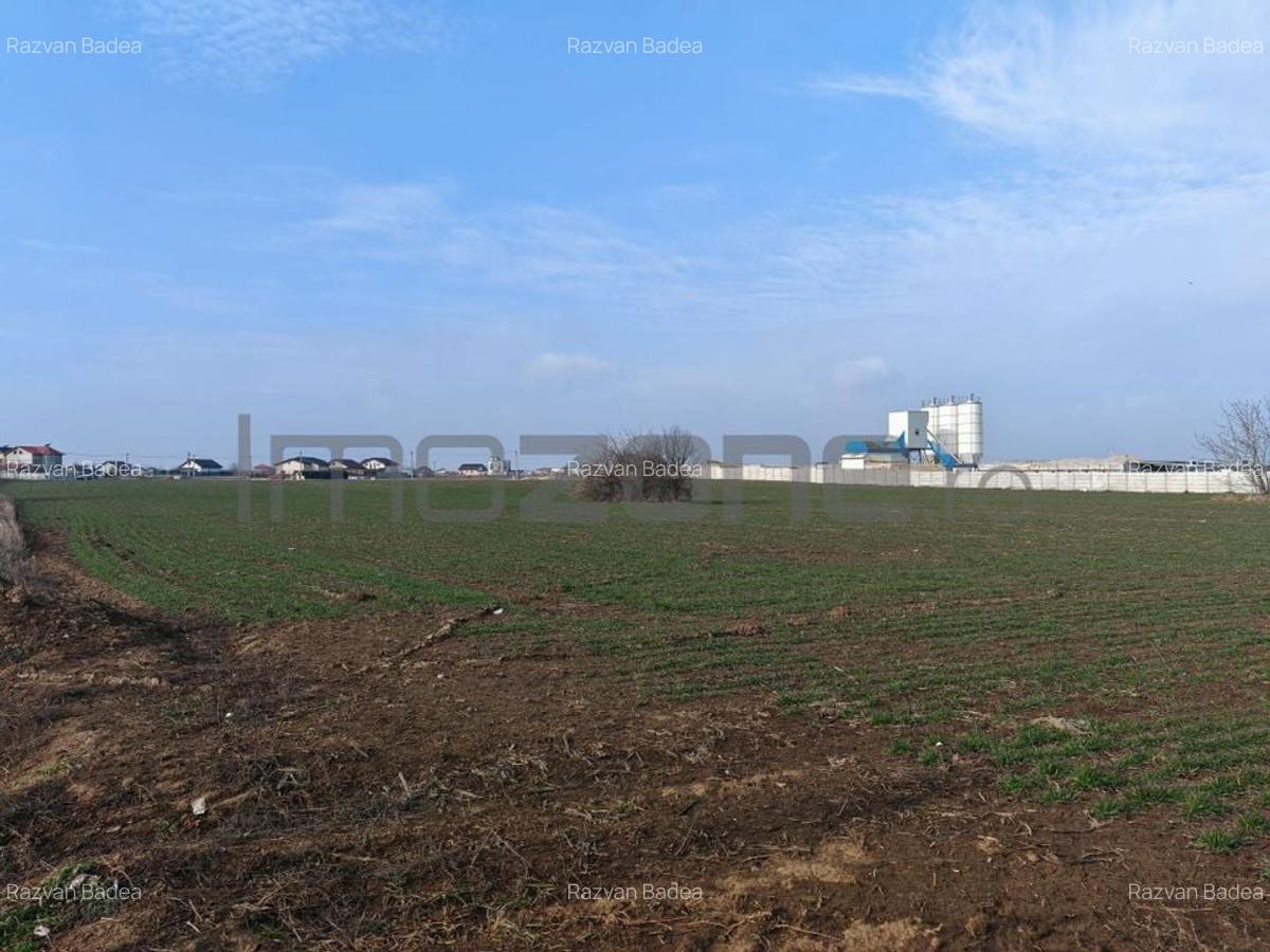 Dragomiresti Valea - Langa Centura, teren 15.600 mp, 35E/mp - 4