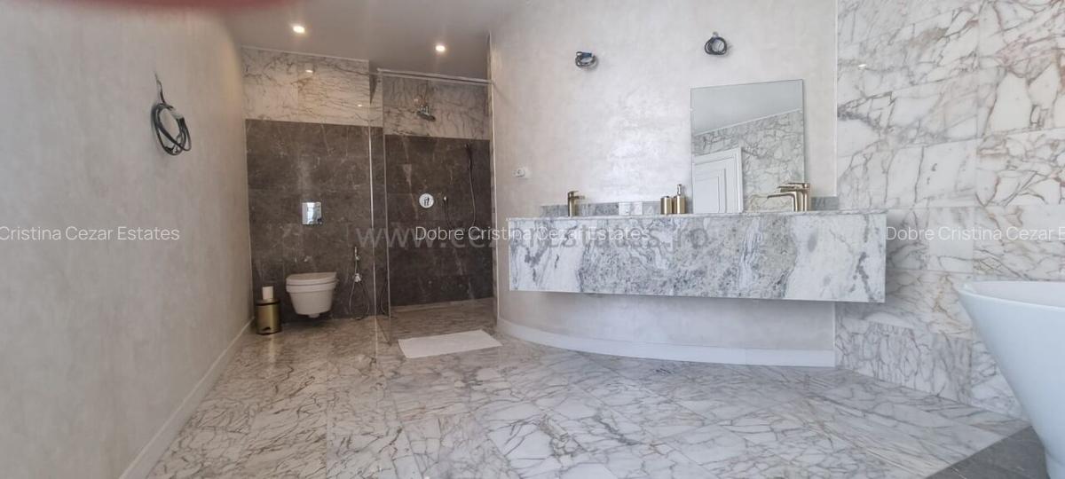 PIPERA IANCU NICOLAE VILA LUX RENOVATA COMPLET 2022 - 44