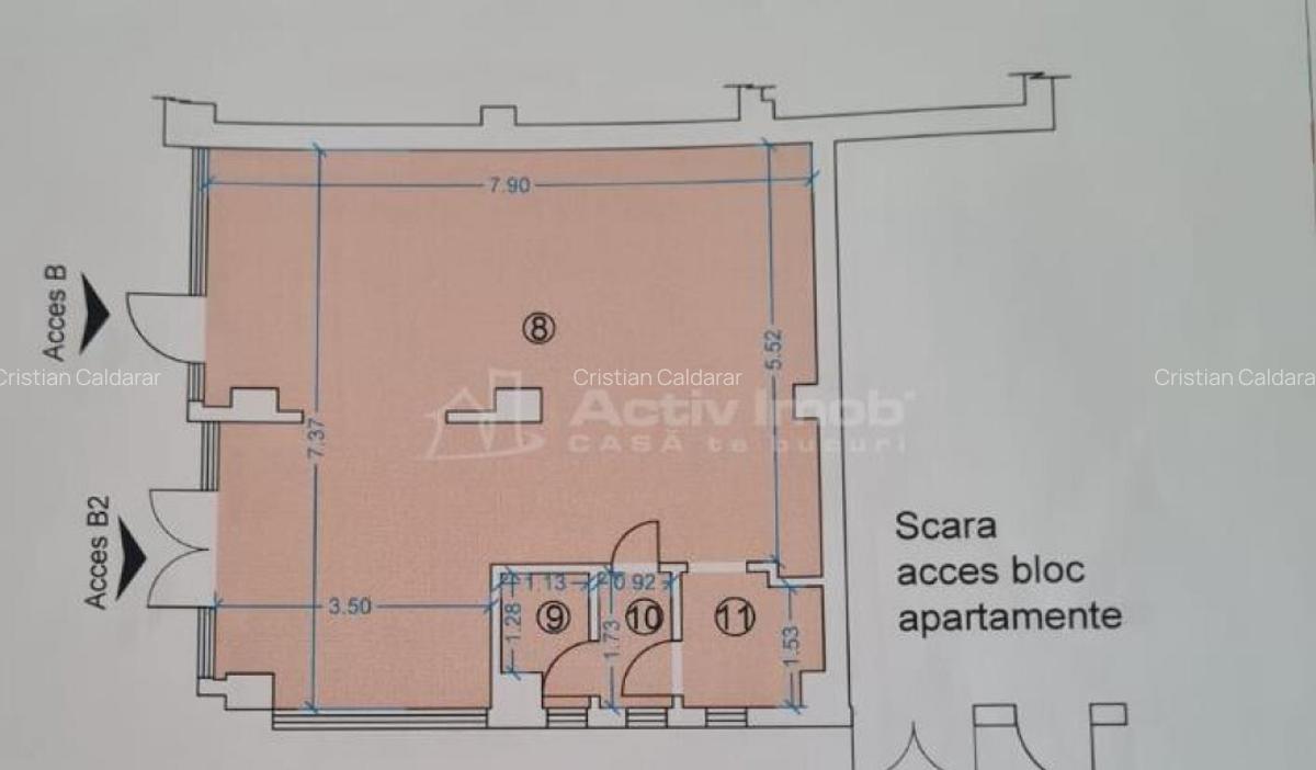 Spatiu Comercial 54 mp - Calea Aradului - Iosia - 8