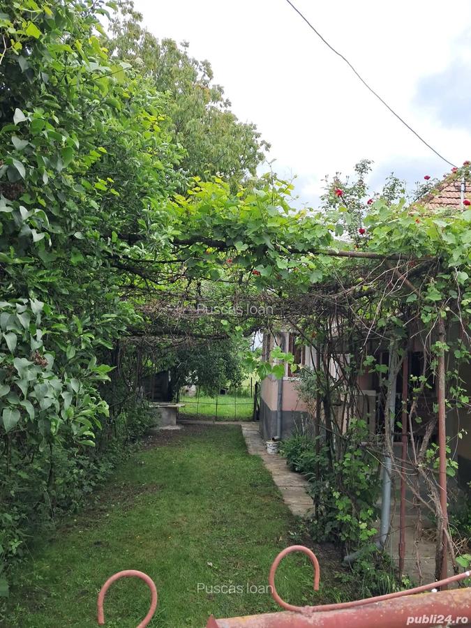 Casa si teren - 4
