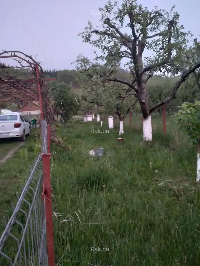 Casa Bezdead, Dambovita - 3