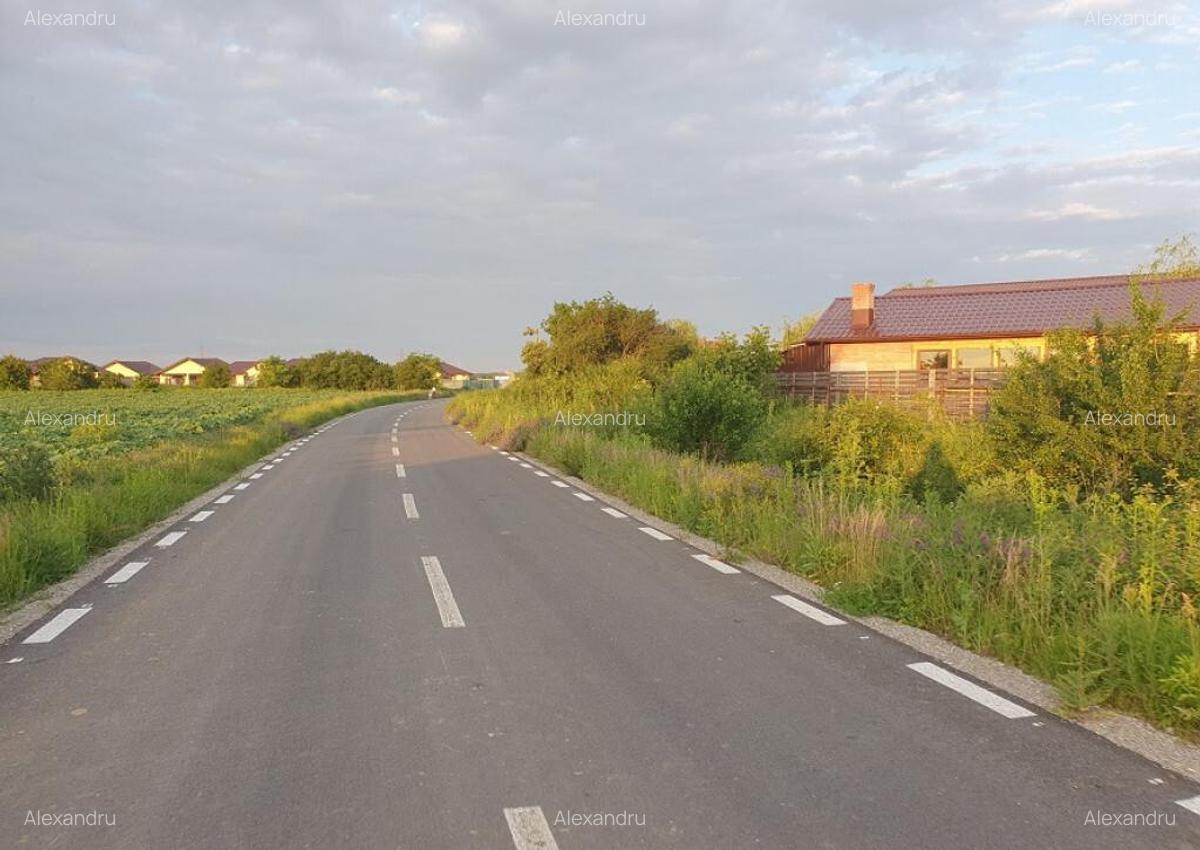 Lot teren Balotesti,langa case noi-50 m de asfalt 600mp - 4
