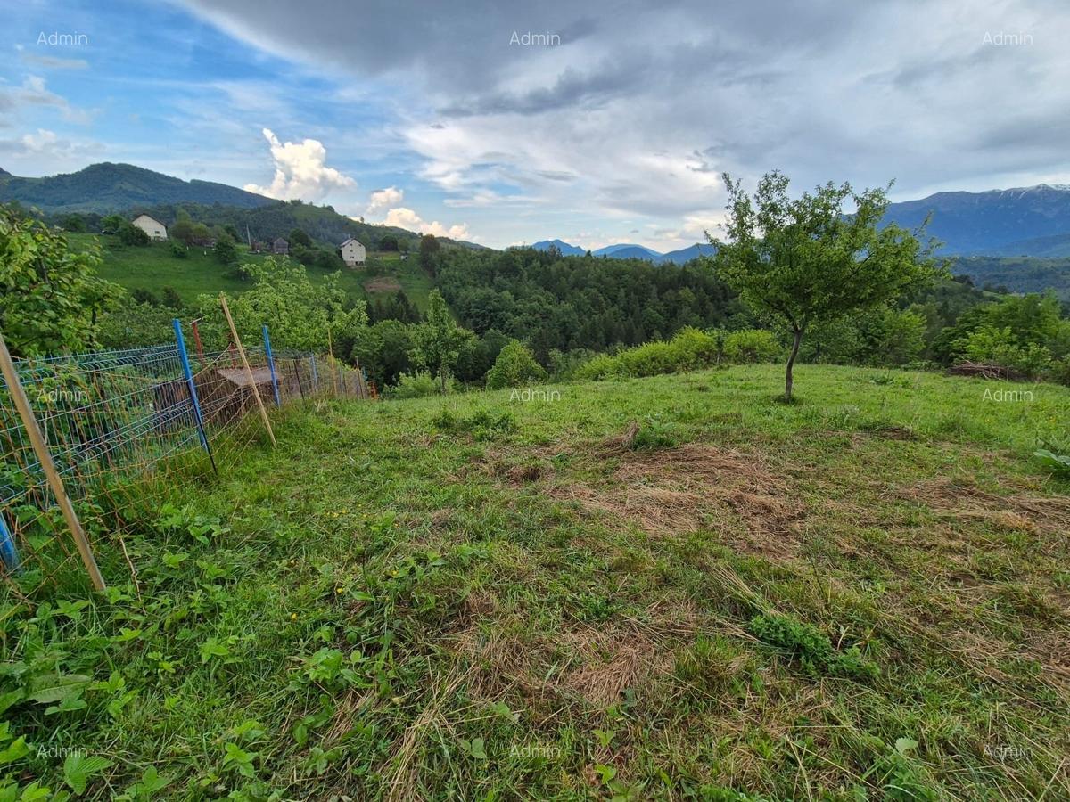 Comision 0%, TEREN INTRAVILAN SAT PESTERA BRASOV - 5 Comision 0%, TEREN INTRAVILAN SAT PESTERA BRASOV - 5