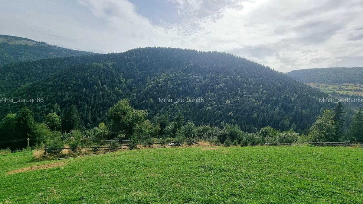 Vand teren la munte pentru cabana - 7