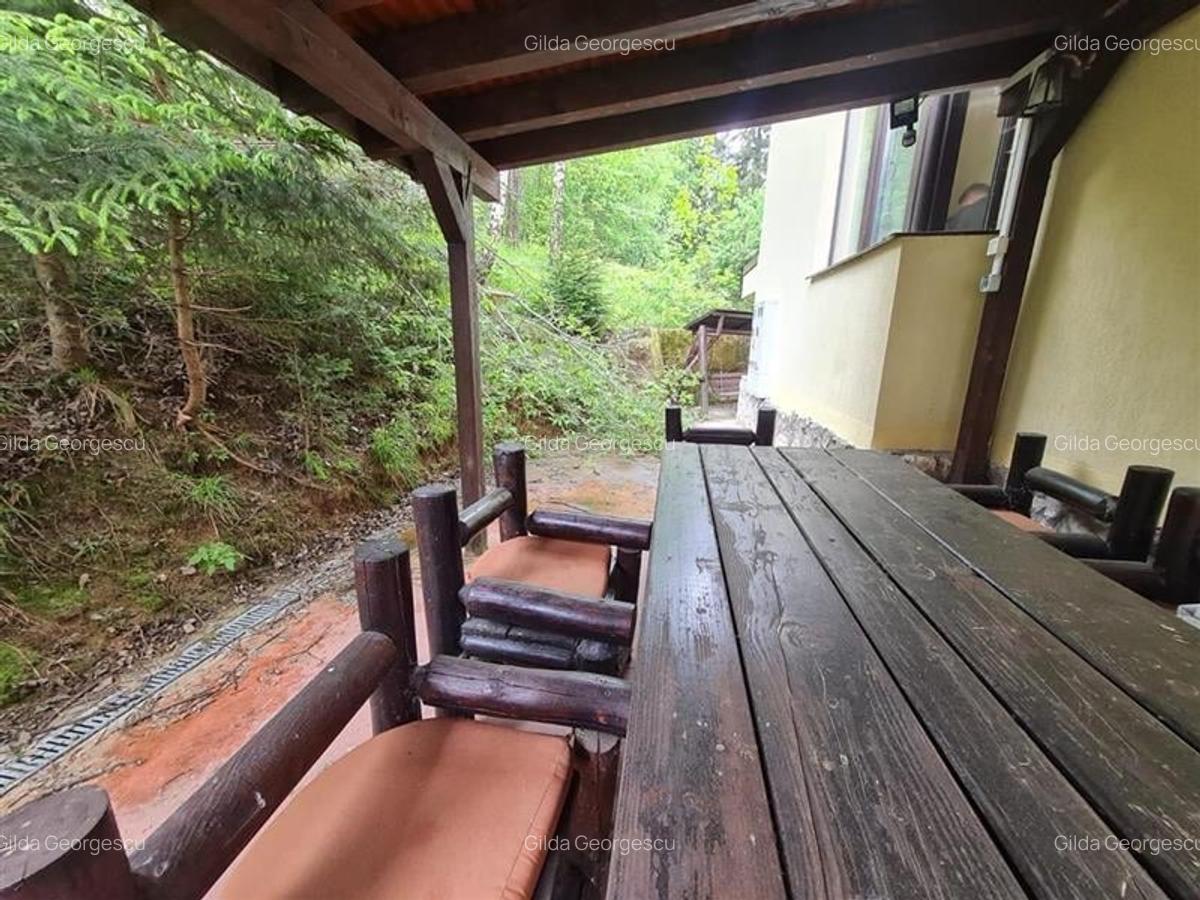 Tur LIVE! Refugiu in ambientul special al statiunii Poiana Brasov - 41