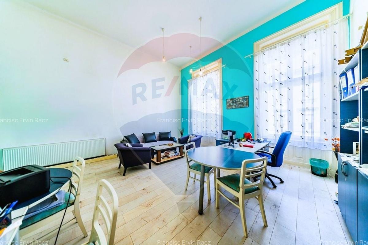 Studio spectaculos pe 2 niveluri in Palatul Neumann, exclusiv - 2