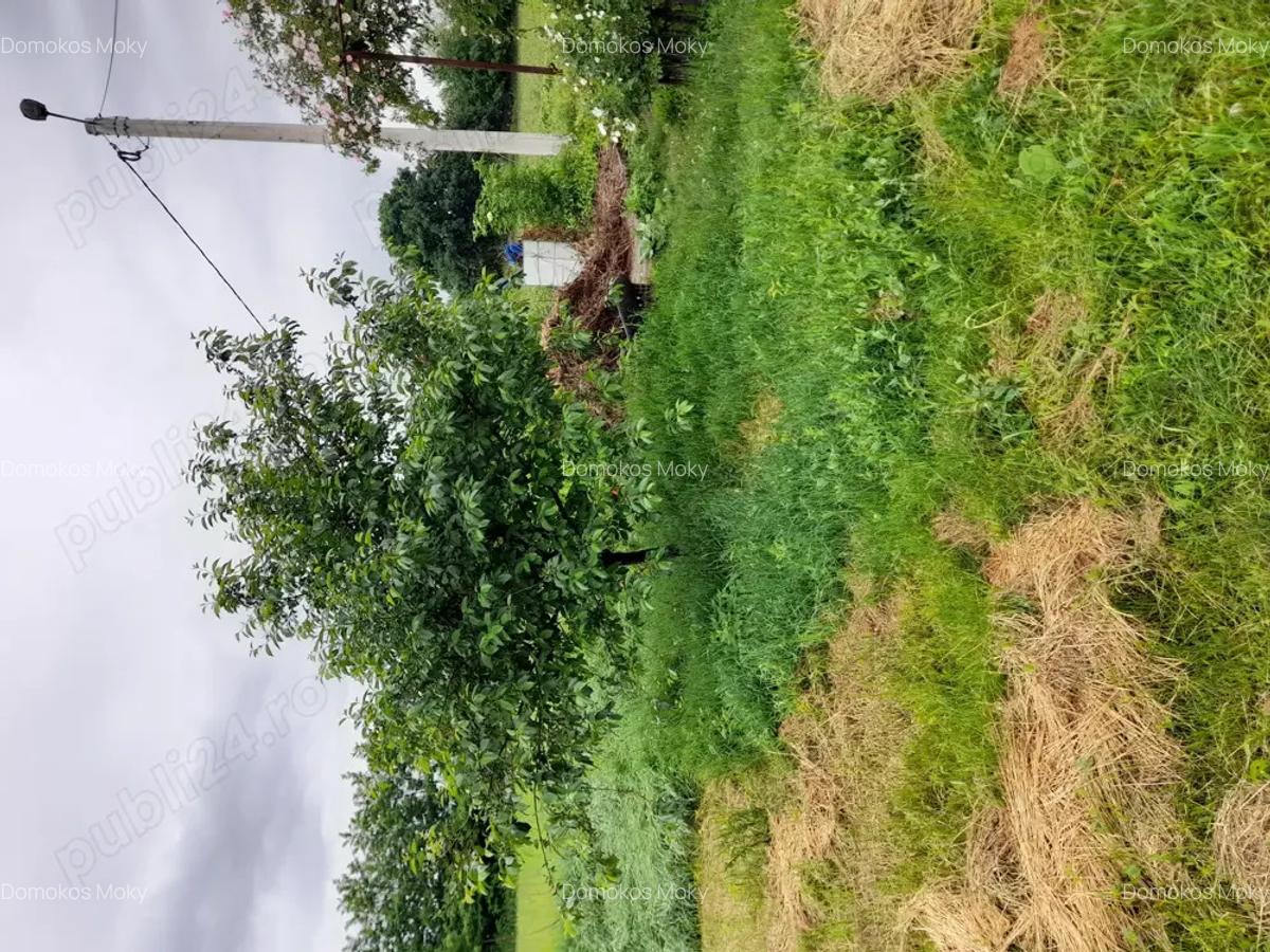 Vand casa batraneasca - 3