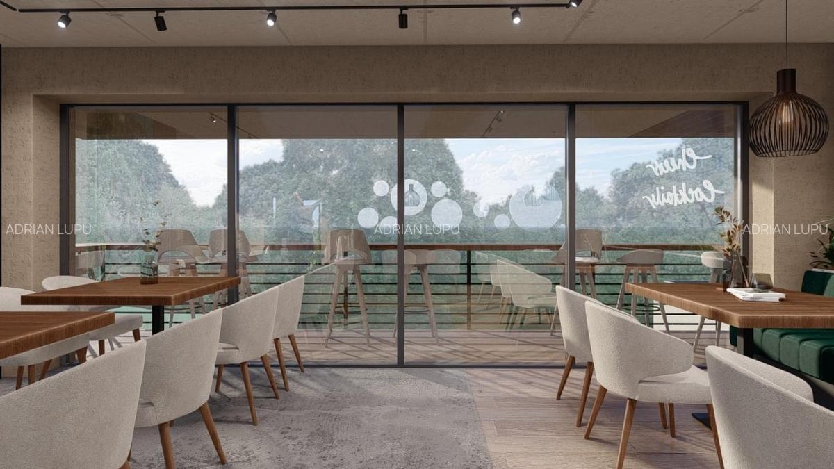 Inchiriere Spatiu Comercial 150 mp Copou Sararie Vad Stradal - 3